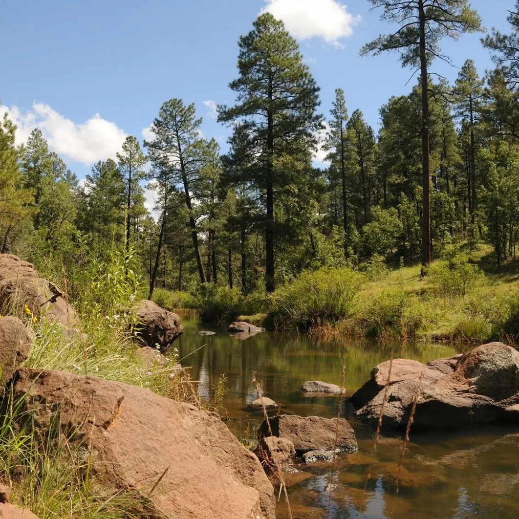 Blue Ridge Mountain Loop